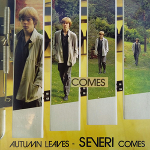 Brussels In The Rain