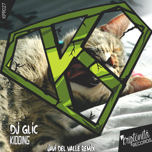 Kidding (Javi Del Valle Remix)