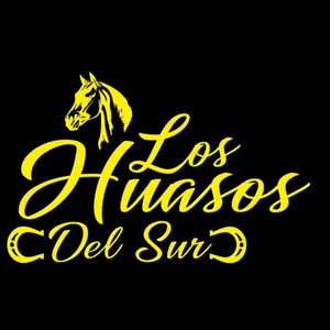 Sonaron 4 Balazos
