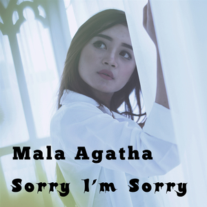 Sorry I'm Sorry