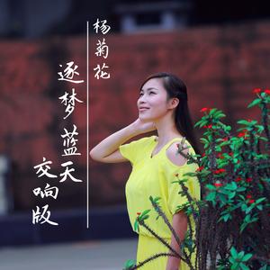 逐梦蓝天交响版