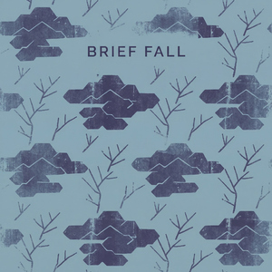 Brief Fall