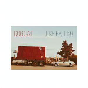 Dogcat
