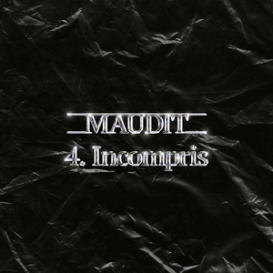 Maudit 4. Incompris
