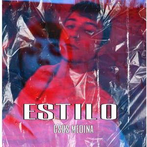 Estilo