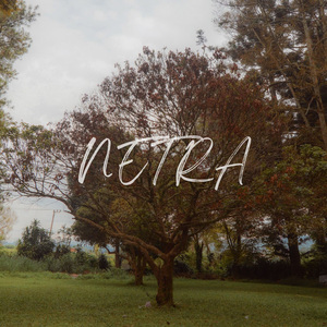 Netra