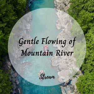 Dive Into Your Dreams