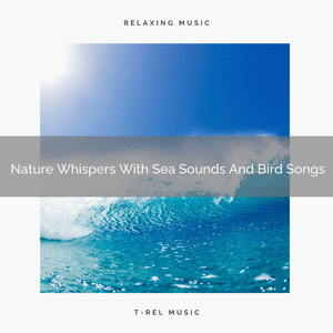 Mother Earth Whispers With Beach Vibes And Meadow Noises