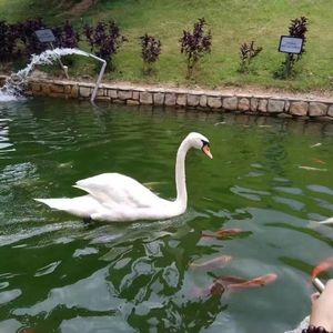 DILEMMA（Sadieze remix）