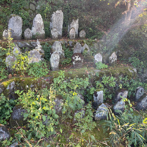 shake、石仏、水管、ルート２０、中央ライン