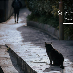 Se Fuir（Special Edition）
