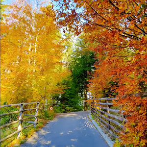 黑板擦与纸飞机