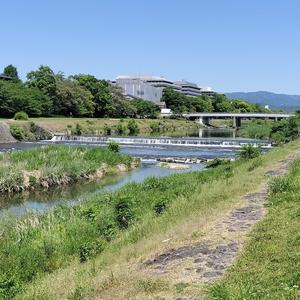 kadoa