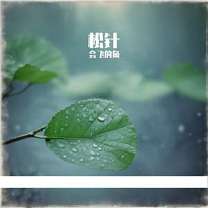 里维埃拉微风吹来