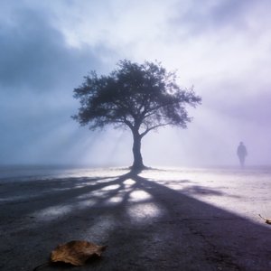 我没有勇气回到你身边