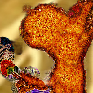 JUMPING TO CONCLUZIONZ CAUZEZ CONFUZIONZ