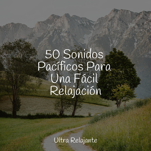 Pasanso Por Debajo