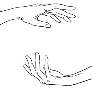 熵羽声褶
