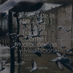 Niebla en La Ventana