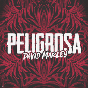 Peligrosa (Original Mix)