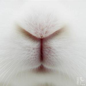 没有星星的夜里 (伴奏)