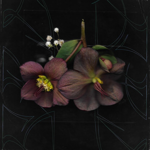 Lucid (HENSU Remix) [feat. HENSU]