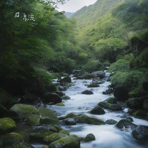 小熊的梦境