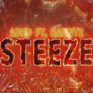 Steeze (feat. Hauntz)