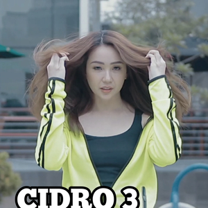 CiDRO 3