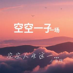 空空人生这一场