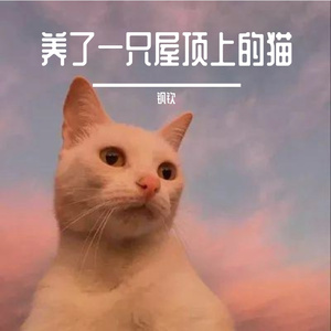 屋顶上的猫