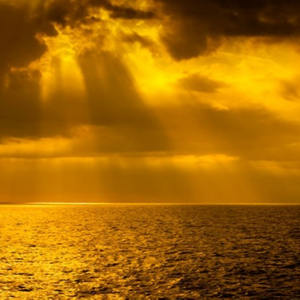 El Cénit De La Homocracia