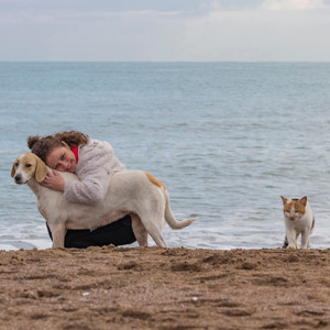 Pet Daydreams by Water