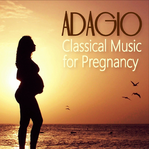 Brandenburg Concerto No. 6 in B-Flat Major, BWV 1051: II. Adagio ma non tanto