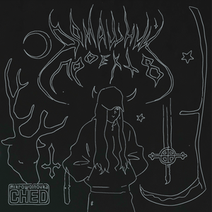 ты пойдёшь со мной(?)