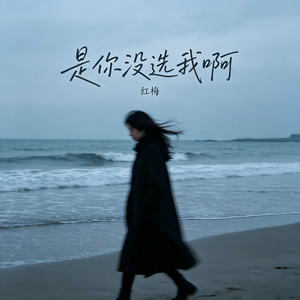 是你没选我啊