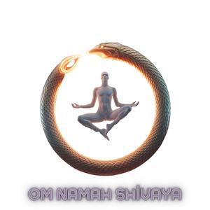 Om Namah Shivaya
