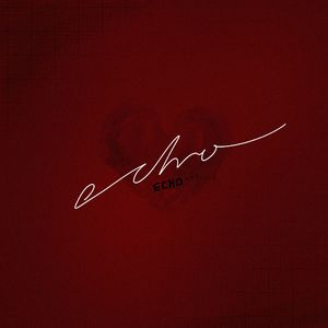 Echo（回音）
