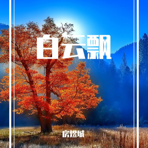 白云飘
