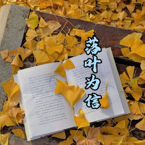 落叶为信