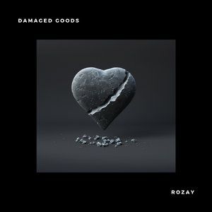 Damaged Goods (feat. Wild Fox)