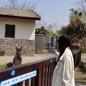 多想在平庸的生活拥抱你(Live)_熊熊想吃馕饼（翻自 隔壁老樊）