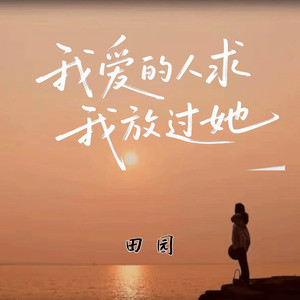 我爱的人求我放过她 (DJ苦ferry版)