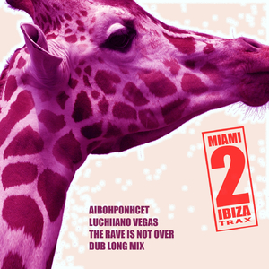 The Rave Is Not Over (Dub Long Mix)