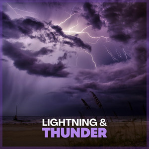 Free Storms