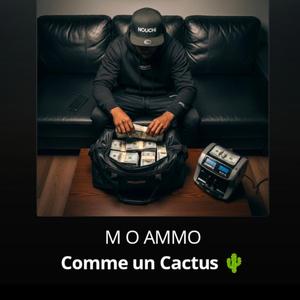 L'Accès(I am in Love)