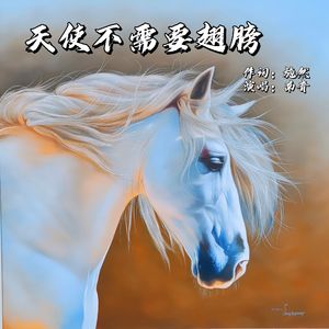 天使不需要翅膀