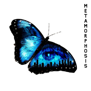 Metamorphosis