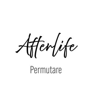 Afterlife