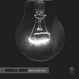 The Awakening (Original Mix)